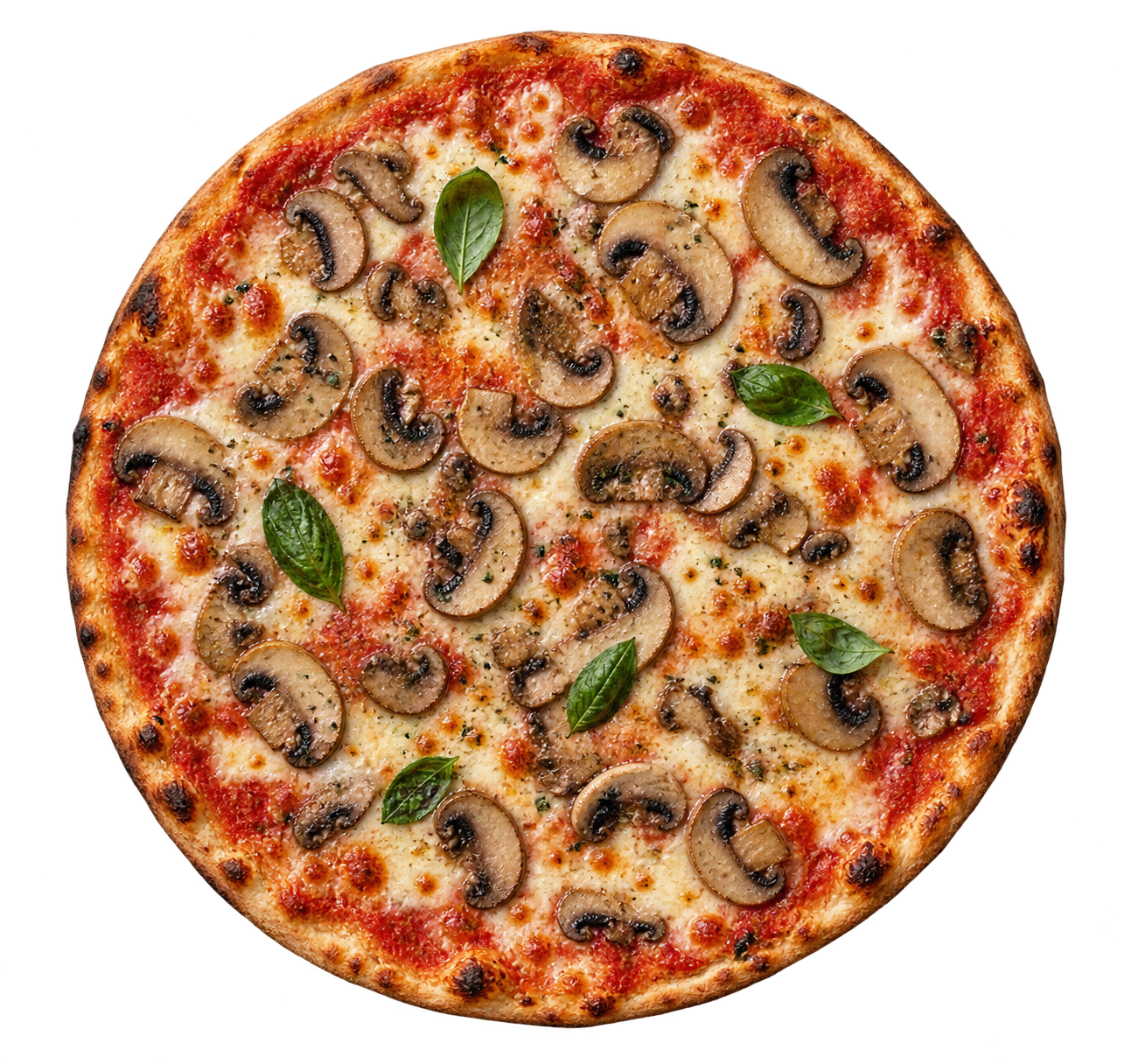 Dünne Pizza Funghi
